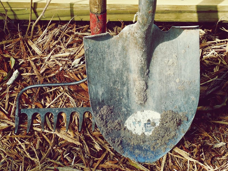 Organic Gardening Workshop